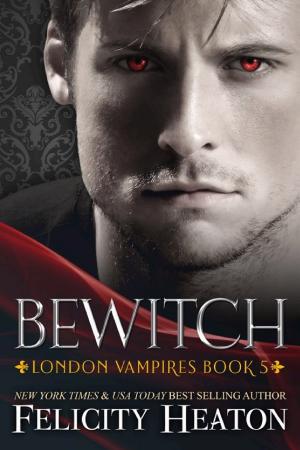 Cover of Bewitch: A Steamy Forbidden Lovers Vampire / Witch Paranormal Romance