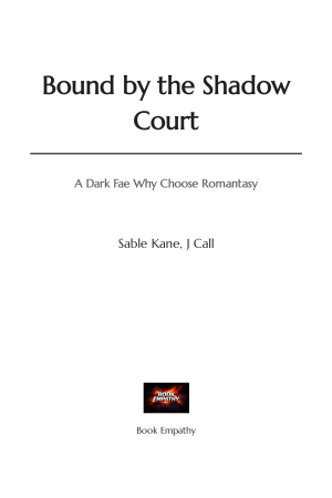 Cover of Bound by the Shadow Court