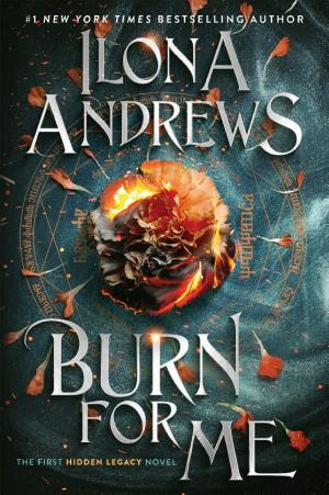Cover of Burn for Me