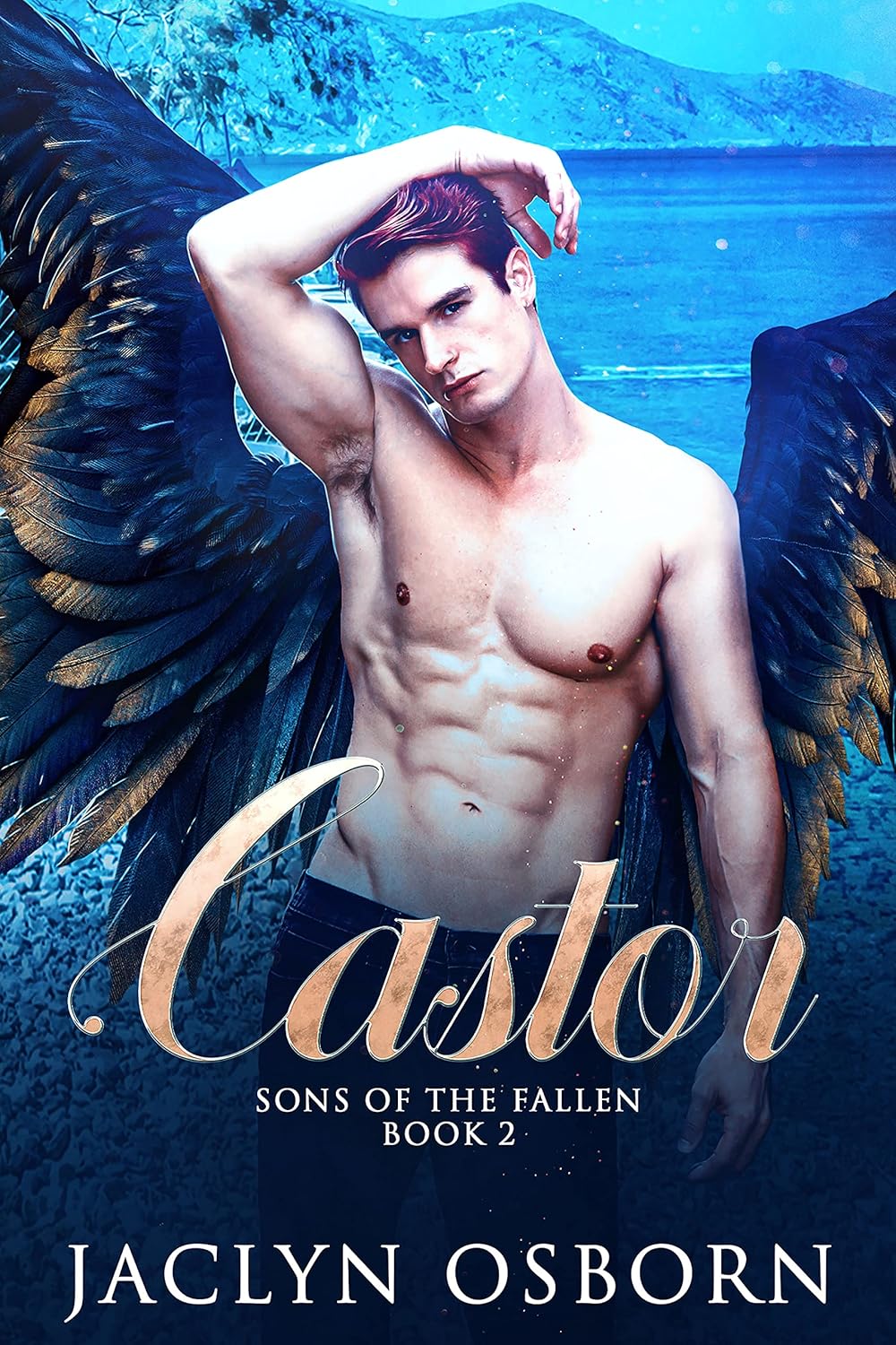 Cover of Castor