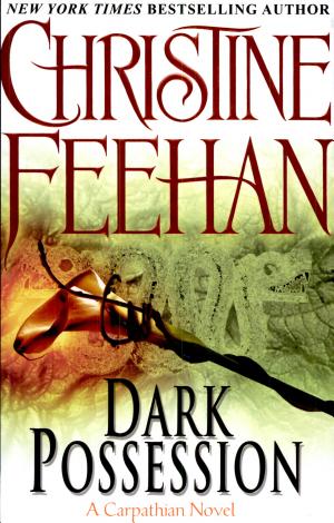 Cover of Dark Possession