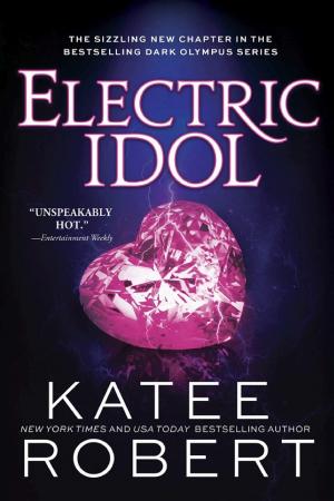 Cover of Electric Idol