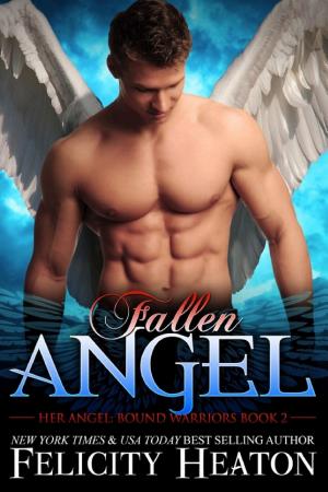 Cover of Fallen Angel: A Forbidden Lovers Angel Paranormal Romance
