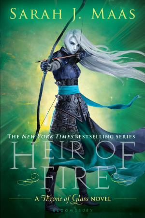 Cover of Heir of Fire