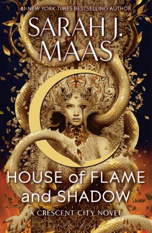 Cover of House of Flame and Shadow