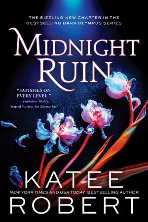 Cover of Midnight Ruin