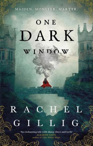 Cover of One Dark Window