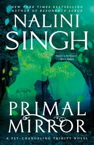 Cover of Primal Mirror