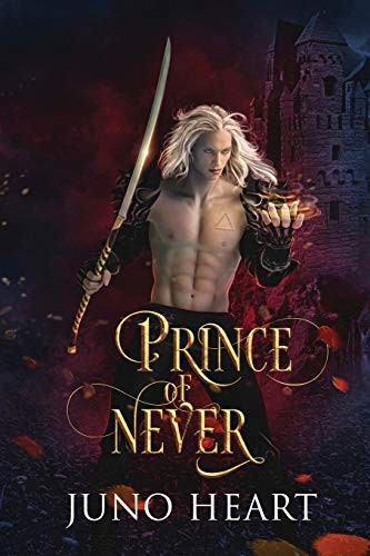 Cover of Prince of Never