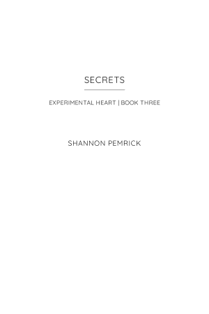 Cover of Secrets: A Slow Burn Romantic Fantasy