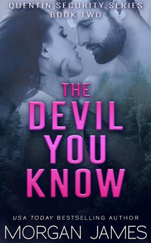 Cover of The Devil You Know (Quentin Security Bodyguard Romance #2)