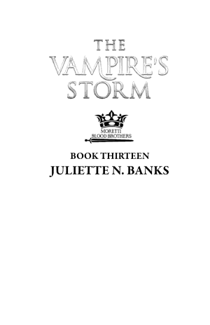 Cover of The Vampire's Storm