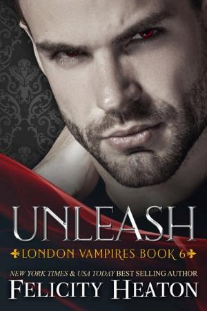 Cover of Unleash: A Steamy Second Chance Vampire / Angel Paranormal Romance